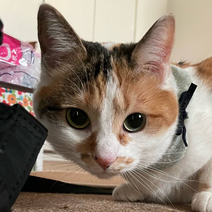 3b0e29d5 cd41 4c37 94d9 20ce5b5b9e43 1676708191768