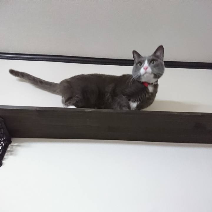 3b0e5abe 2724 4f73 9458 a45f038af716 1514098652062