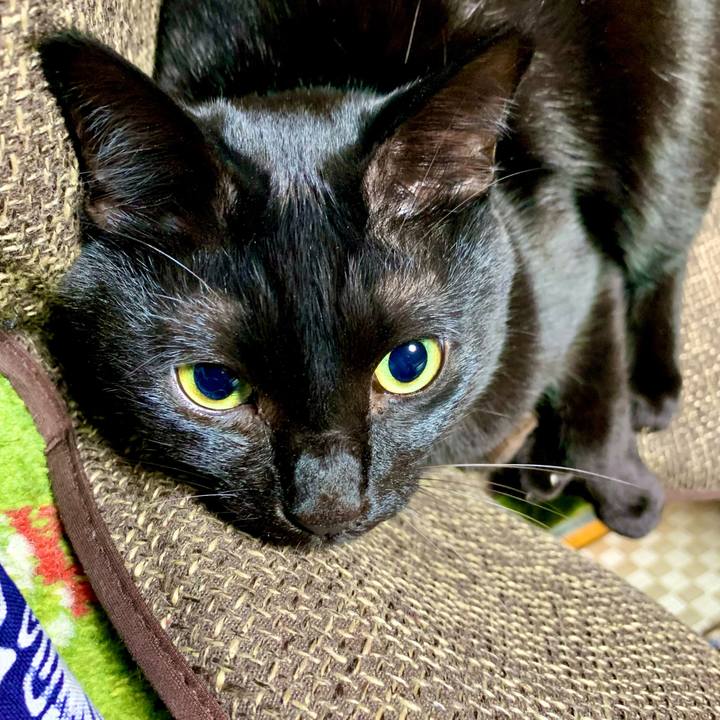 3b0e6310 6b17 4de7 9926 e70430d20a51 1677326931016