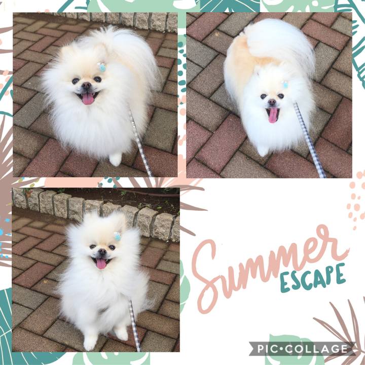 3b0e680b 686b 4eb9 b03b 742247b944e8 1594422651097