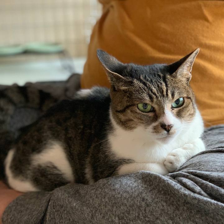 3b0e7899 aed1 4ad9 8da9 facb0e2d59b7 1603590708667