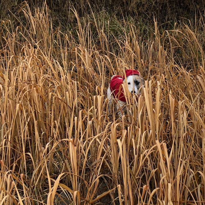 3b0ec5b4 be9a 4f52 a43b 59eb23a399fb 1609028707362