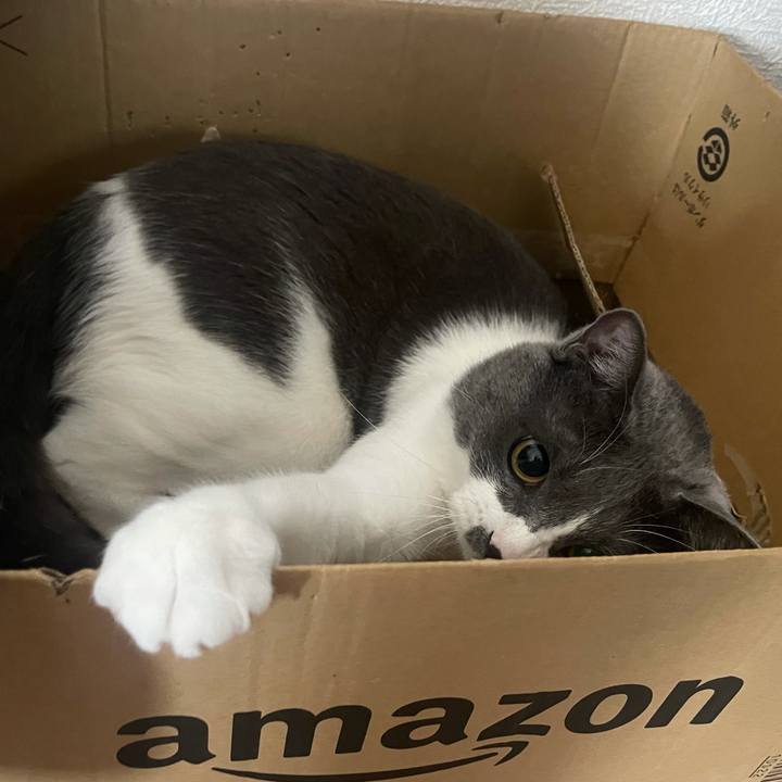 3b0ec963 dc9a 451d b464 ed83cf6c11e5 1626577588526