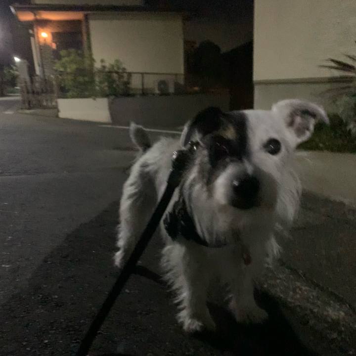 3b0ee749 367b 40e6 865c fd4004955a81 1699362185138