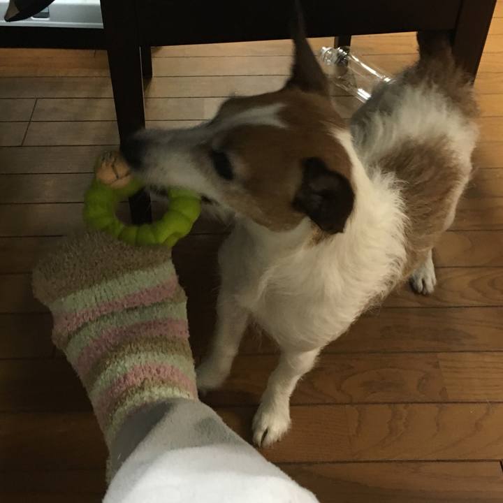 3b0f23d0 e6c1 460b 9e6b 82e30ecc7726 1560564977465