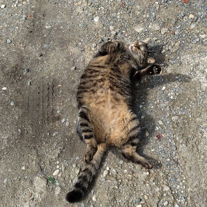 3b0f29af dd9a 4060 969c cc59a4f4e198 1665281349497