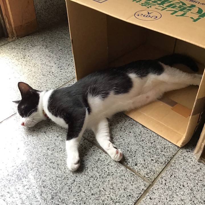 3b0f3759 8a5c 4d9b b097 6351b54570da 1630213511407