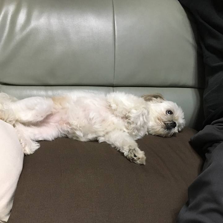 3b0f4ca4 b314 437c 8ced 45a5a9221274 1563448943914