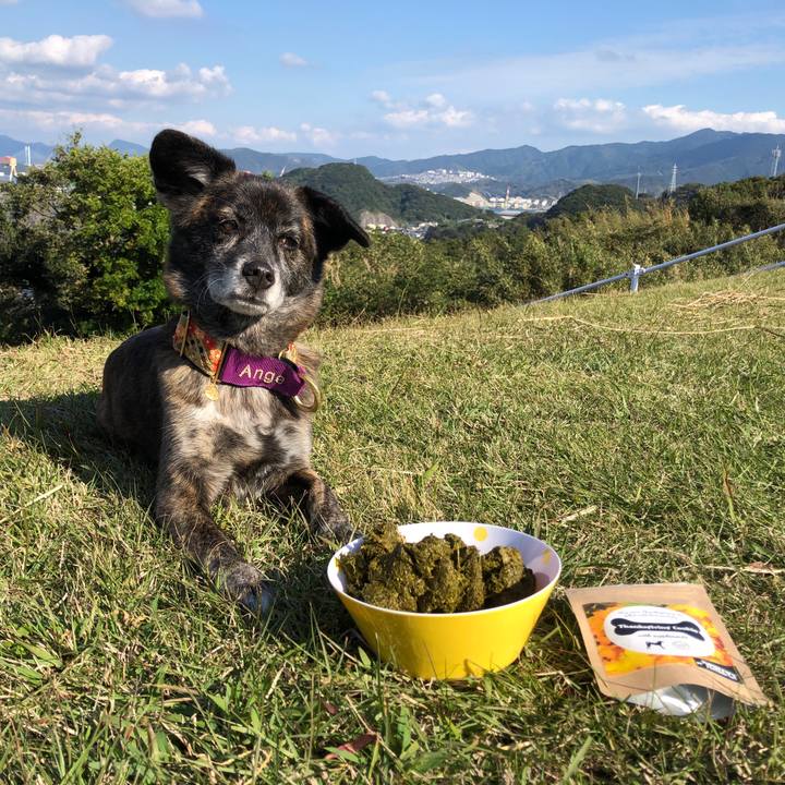 3b0f66ed 452d 413c b3b3 2580078f7405 1606308770012