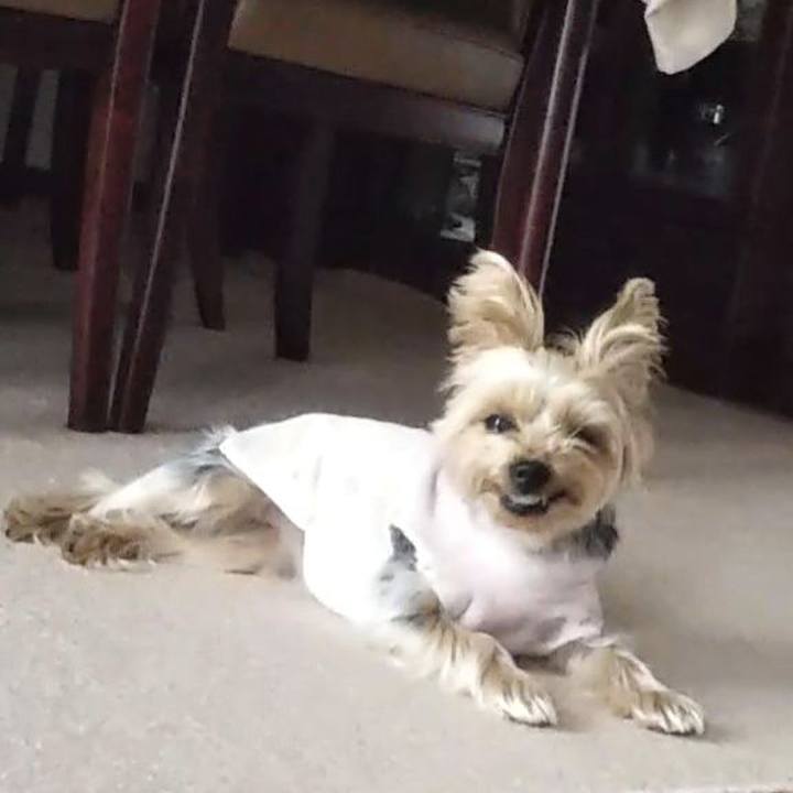 3b0f685b 7dc3 404d 9128 adc05d8eecb2 1612059201205