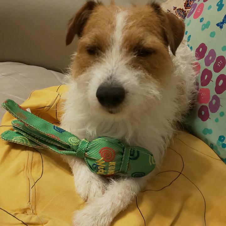 3b0f746b d651 4491 a0f7 24c70a3b0f55 1589718778463