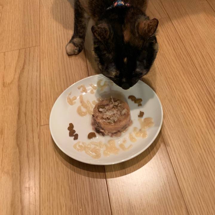 3b0f7f1c ed96 412b 8073 26fcdecd0ef8 1550838834071