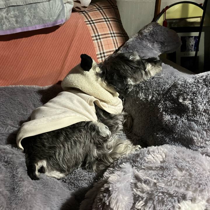 3b0f7f75 5dfa 4c3c 8f77 efa64dd2158a 1772195240116