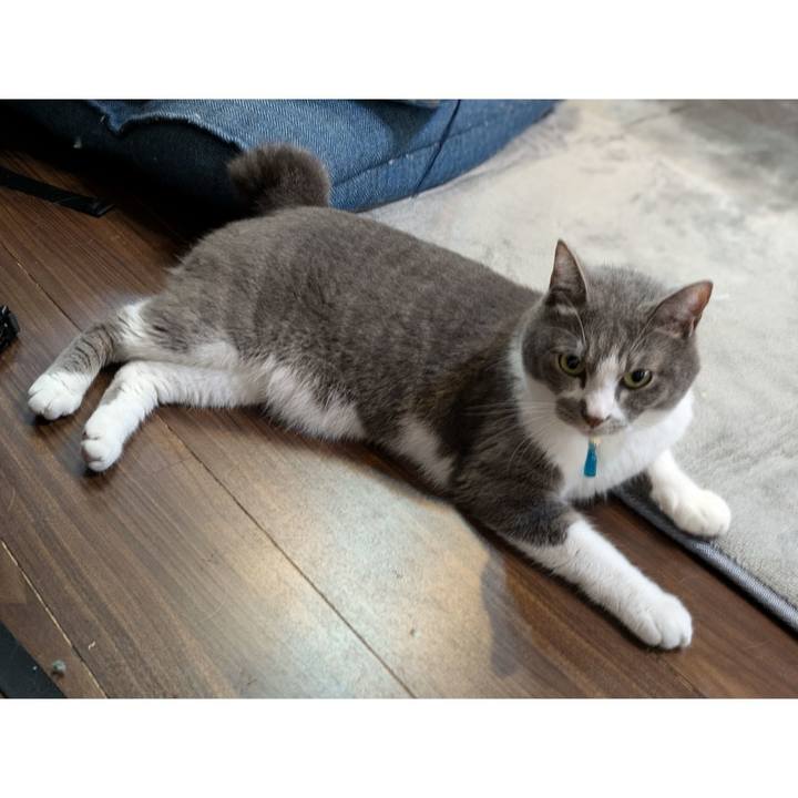 3b0f8871 b160 48ea 8816 4834857166f4 1726177265978