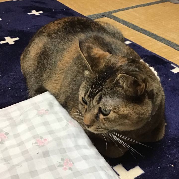 3b0fb0d0 5992 4fda 9113 3941b89f2b15 1736858994788