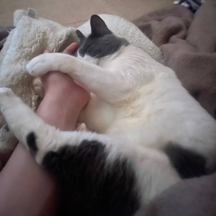 3b0fccd3 498d 4acb 830c da21f8098144 1744579549555