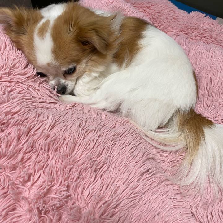 3b0fe424 e790 423a 9017 75babe199d24 1583763449990