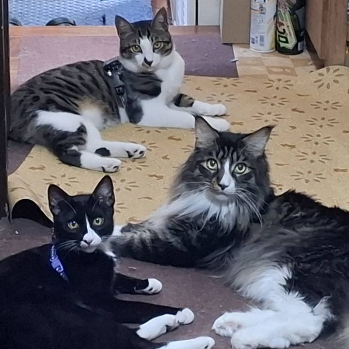 3b103d70 80f9 4993 bd0d 78475242b0ec 1757724699619