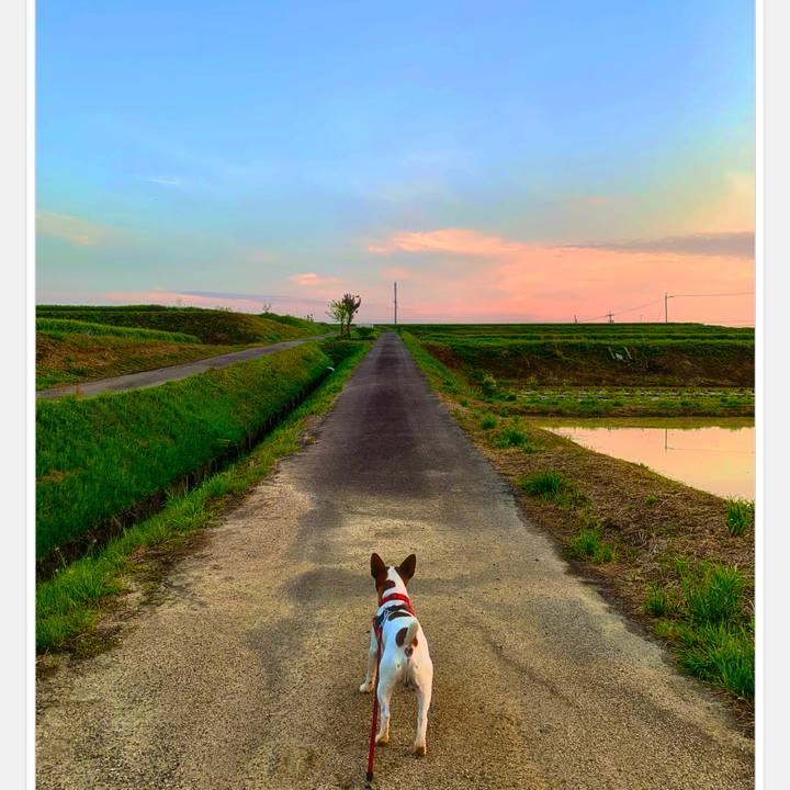 3b104139 f860 4dc0 9e52 3d467f615866 1587470510213