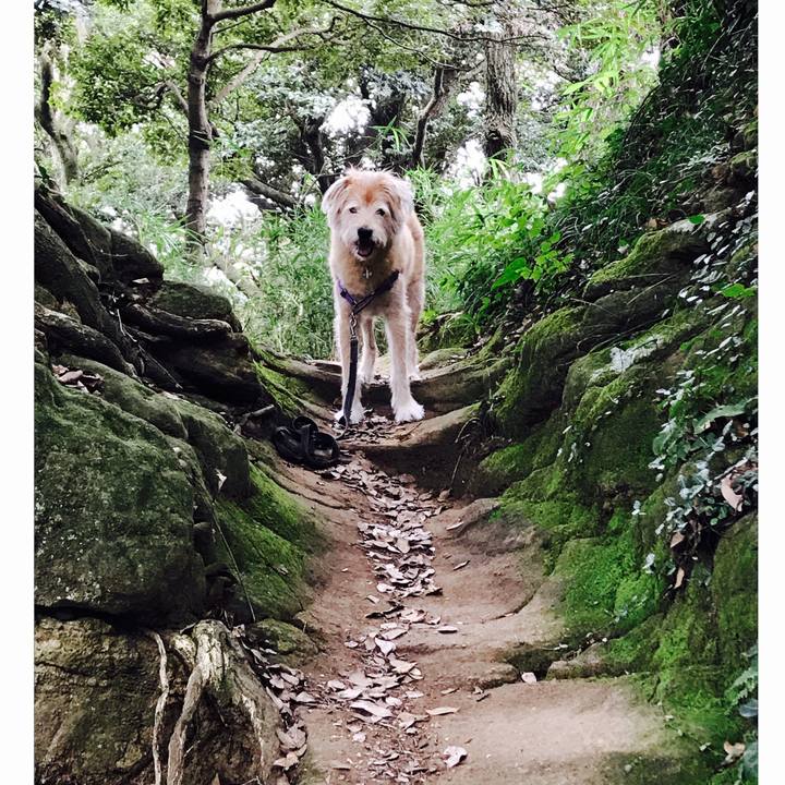 3b1046c7 e7ad 4c49 953a 90ed574c24b0 1600581536767