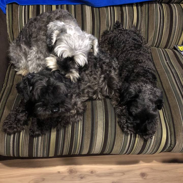 3b106e8f 62fa 4137 bfed 181311baa224 1536663911183