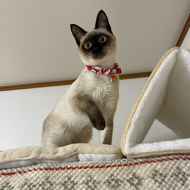 3b108be3 5fc7 460b 8886 55c331b29cb7 1702495060745