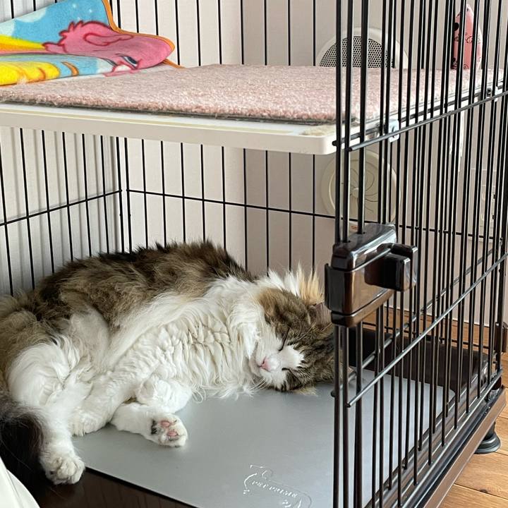 3b10a167 9523 4101 a24c 4242b7407342 1691123867120