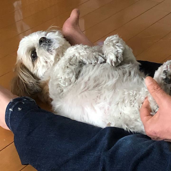 3b10bcd1 5419 4e55 819e 2fd102b91d60 1547254403409