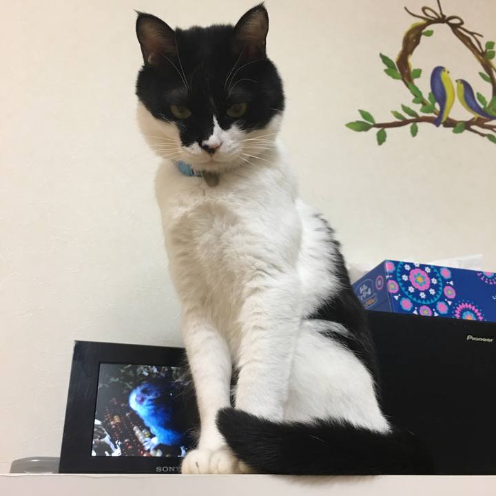 3b10c3db a70f 44c3 82d9 c8c5345f36d5 1512826847672