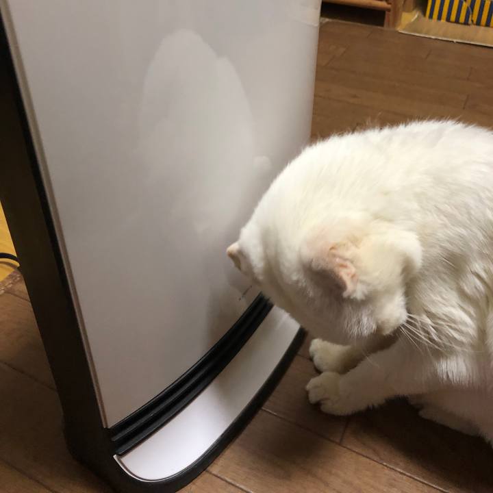 3b10cf20 bf61 42e0 9211 c177c9c9fbd5 1603756813144