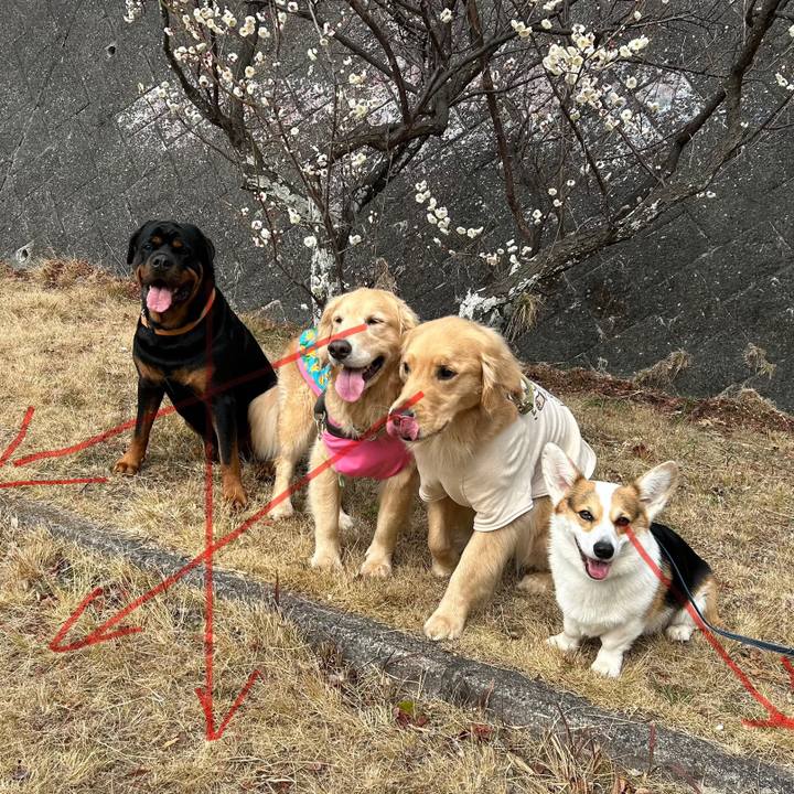 3b10f1f2 c434 495f bb1d 6b9e7da2fa99 1771386927946