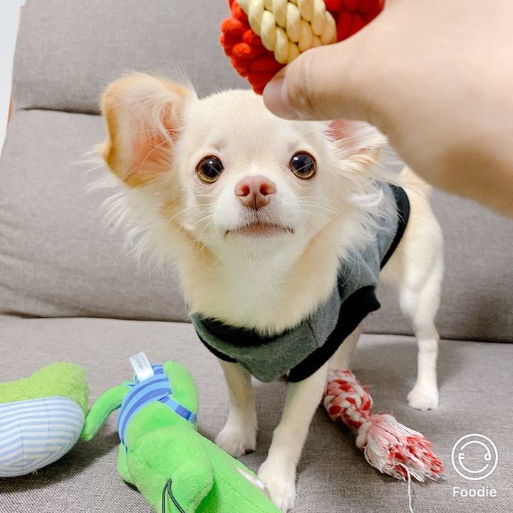 3b110e02 f6de 4267 93ce 7ea7149909d1 1600934225652