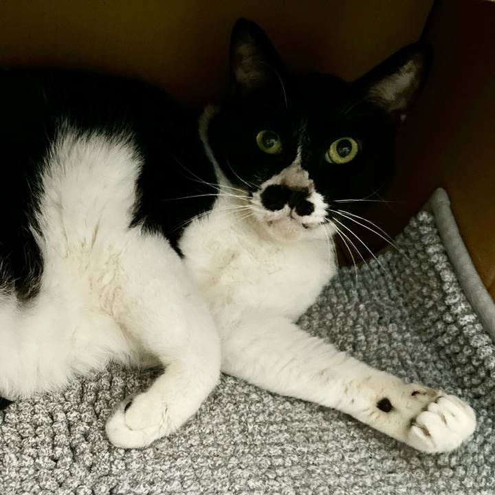 3b1115b5 d268 4533 b37b 58abc0f8b48e 1718150339811