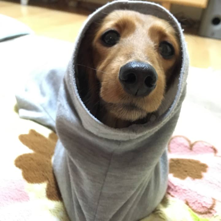 3b111ad7 ca57 4292 85bc d0dc7b5fb7a0 1516191146418