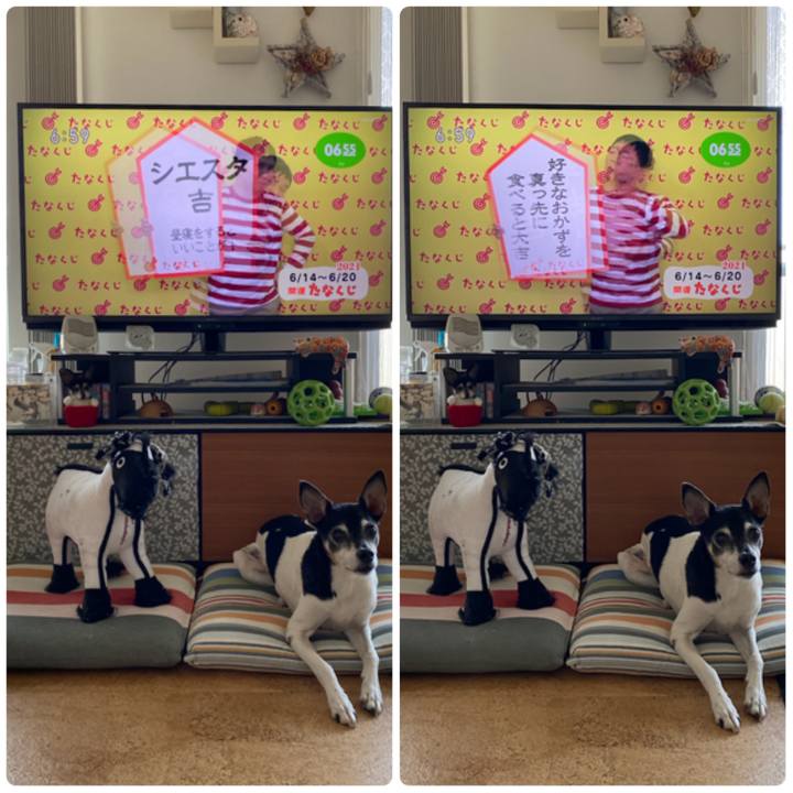 3b11886f 3e53 4fd0 8838 61151a5eb995 1623622296599