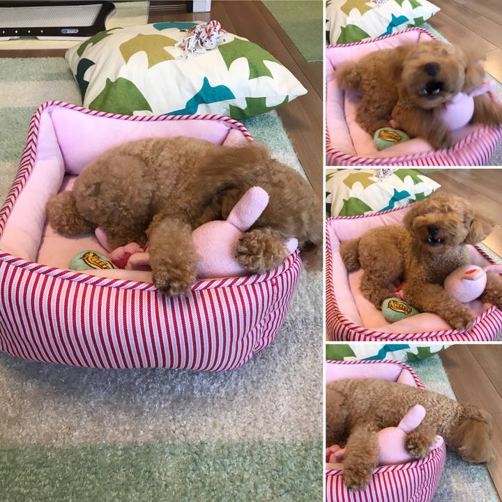 3b119c54 91c7 4249 b9c5 438800bb3cfe 1536911809487