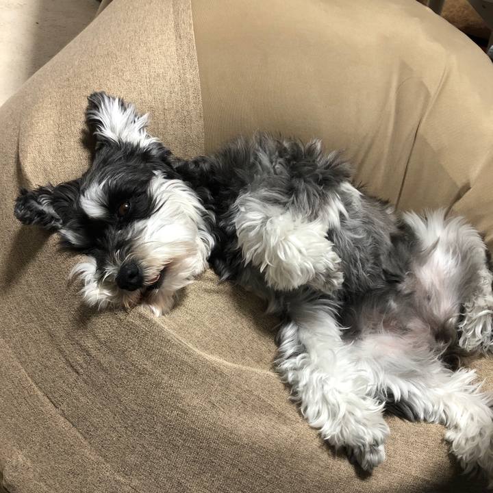 3b119c9a 86eb 4495 9fe9 3ff849ea872f 1680345119830