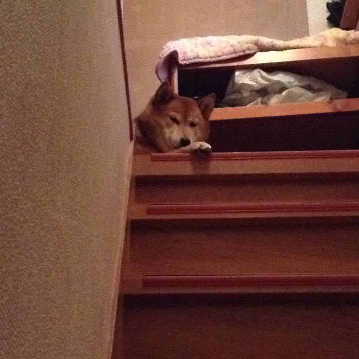 3b11d9f9 f55b 42cf 87a8 b226651a9349 1550135720736