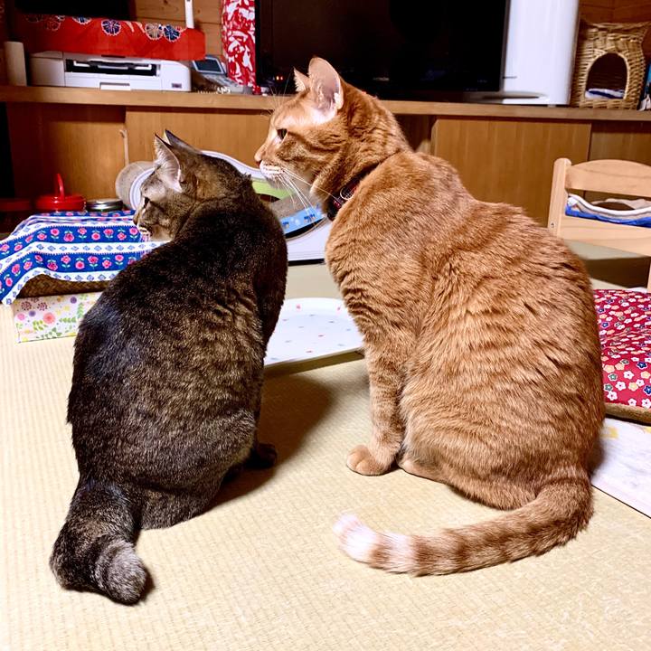 3b1232fa c685 4d56 8951 b6995a2a09dd 1579269021745