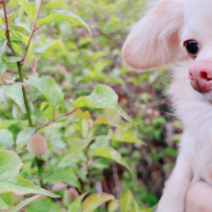 3b124bc0 c650 4f01 8d2d f8d1b5f4a6eb 1682158193416