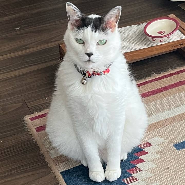 3b125479 79d9 4a39 8c82 9791d8a61b09 1718322217164