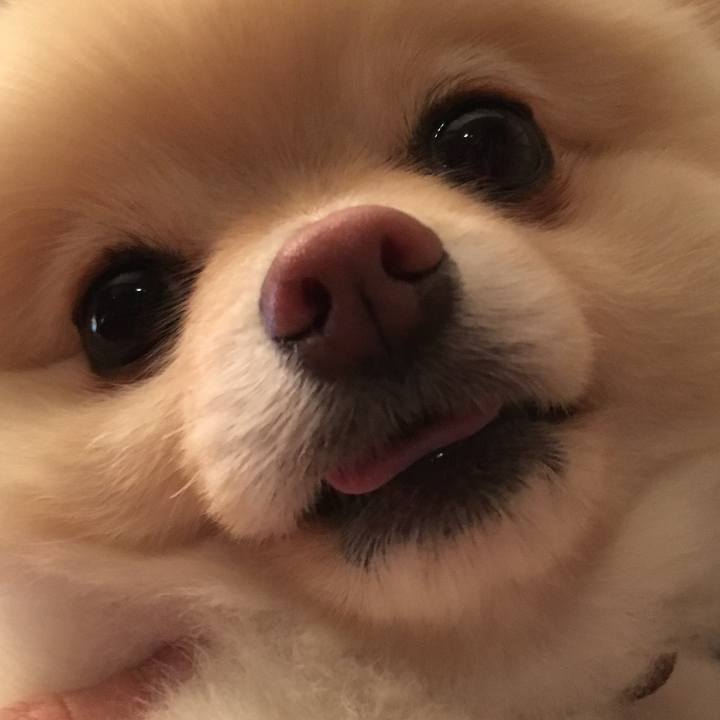 3b13044c eee6 4814 8fb7 3b927aa12f7e 1523360468126