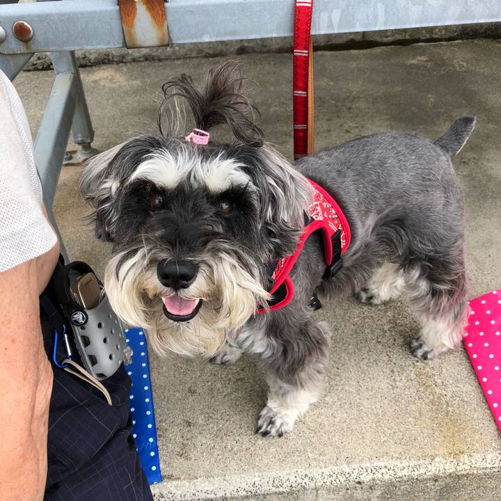 3b1307fc f50b 4459 80f7 7e847b6234d7 1528584492727