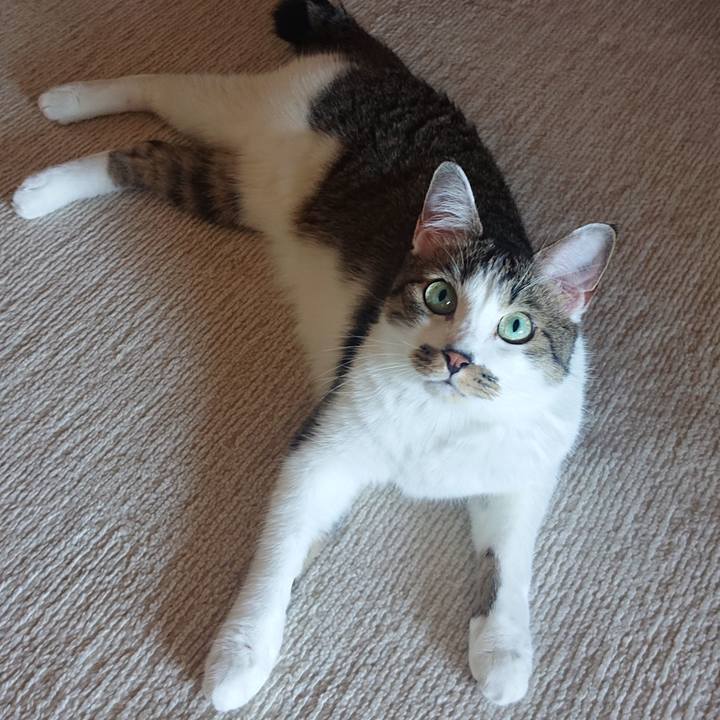 3b130d62 61d6 44e6 9277 2069f3028983 1663717908757