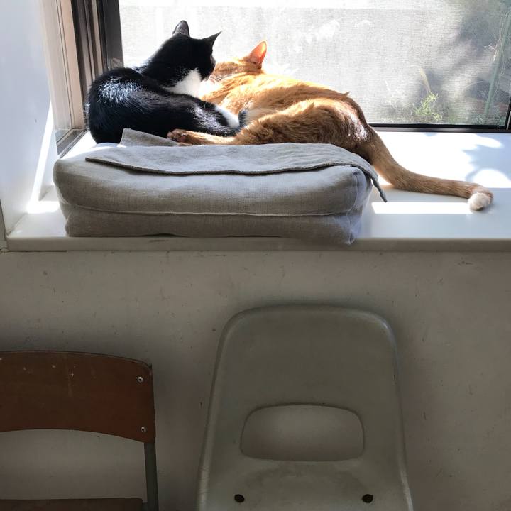 3b1346cc c475 4b4e bbfa bba287352e52 1509783477650