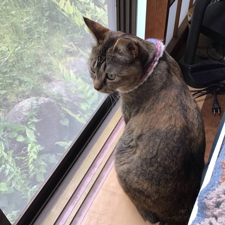 3b136dbe ae6b 4f85 865f b605161b67c4 1620194491457