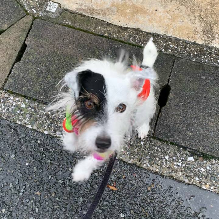 3b137037 6891 4f50 9922 bea3842e2657 1663631555714