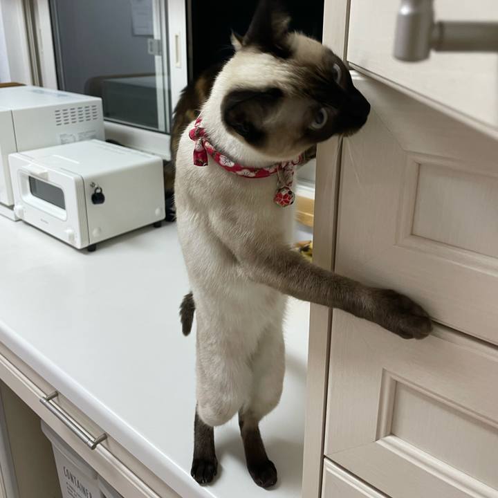 3b1381b1 da63 4386 95cc ae1677787b17 1707422927765