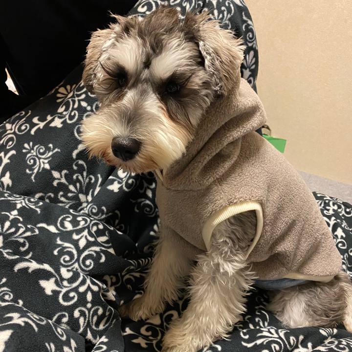 3b13a1b7 c292 4d8d 8810 ec2c25b13fde 1575211950541