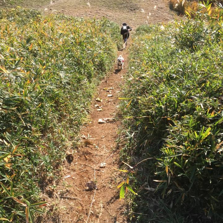 3b13f7e6 fd66 4e12 bf60 f441d0d0851d 1512286046079